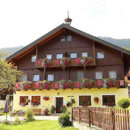 Haufhof-Pension Am Bauernhof, Haus Im Ennstal Bei Schladming Exteriör bild