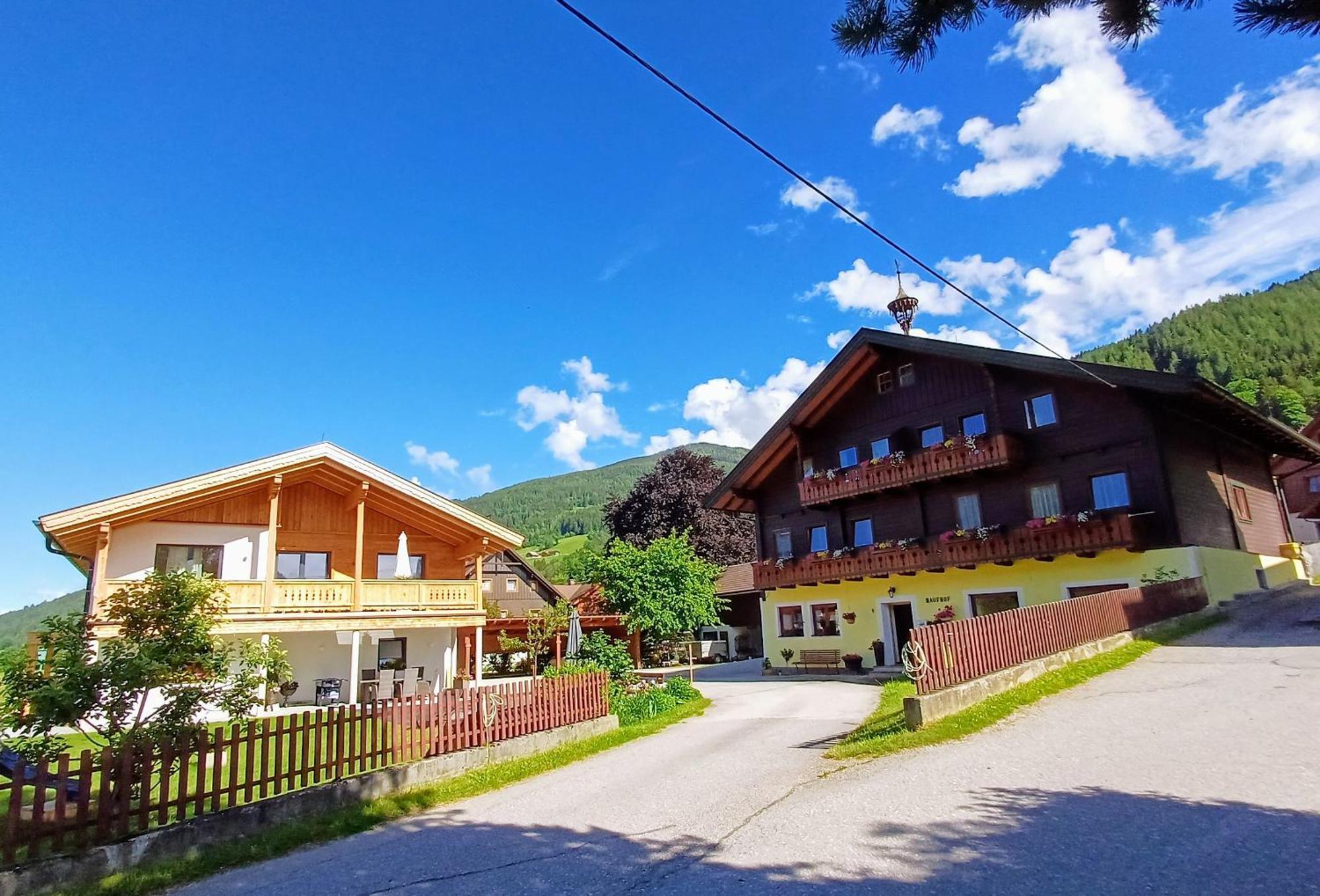 Haufhof-Pension Am Bauernhof, Haus Im Ennstal Bei Schladming Exteriör bild