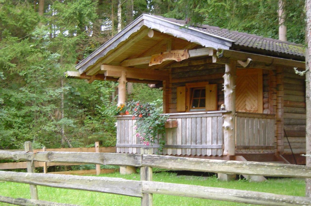 Haufhof-Pension Am Bauernhof, Haus Im Ennstal Bei Schladming Exteriör bild
